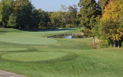 Summer is for planning & golfing
